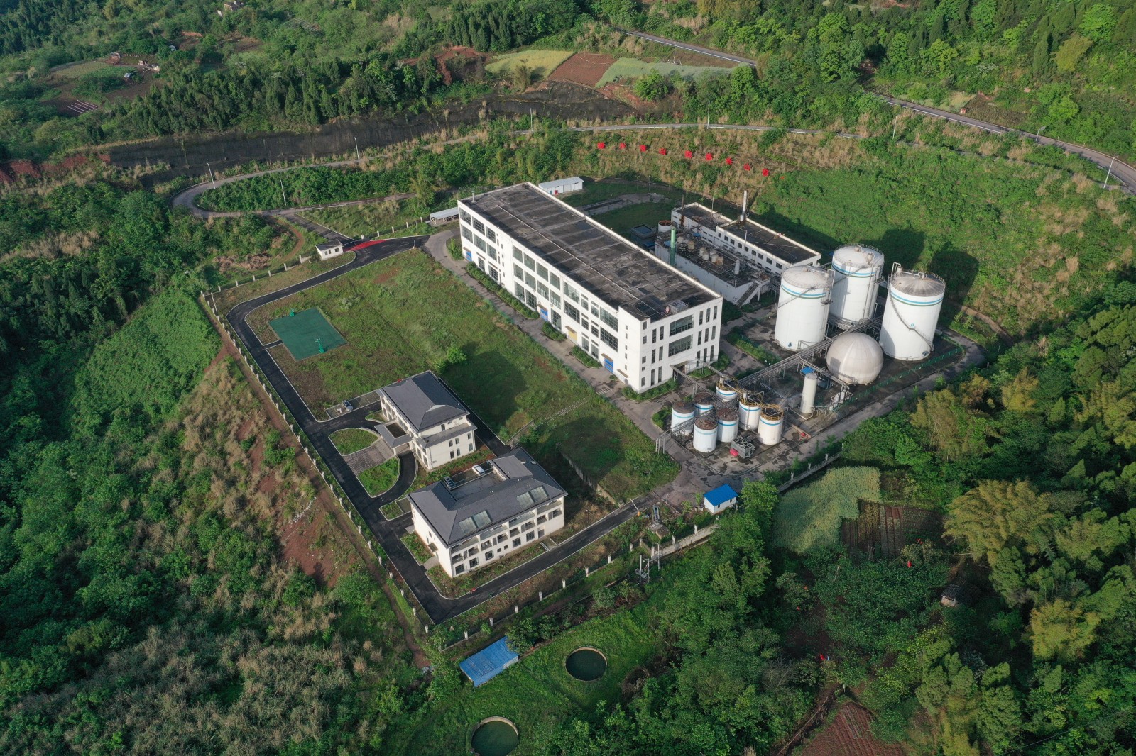 1757293790819.jpg 1757293790819.jpg