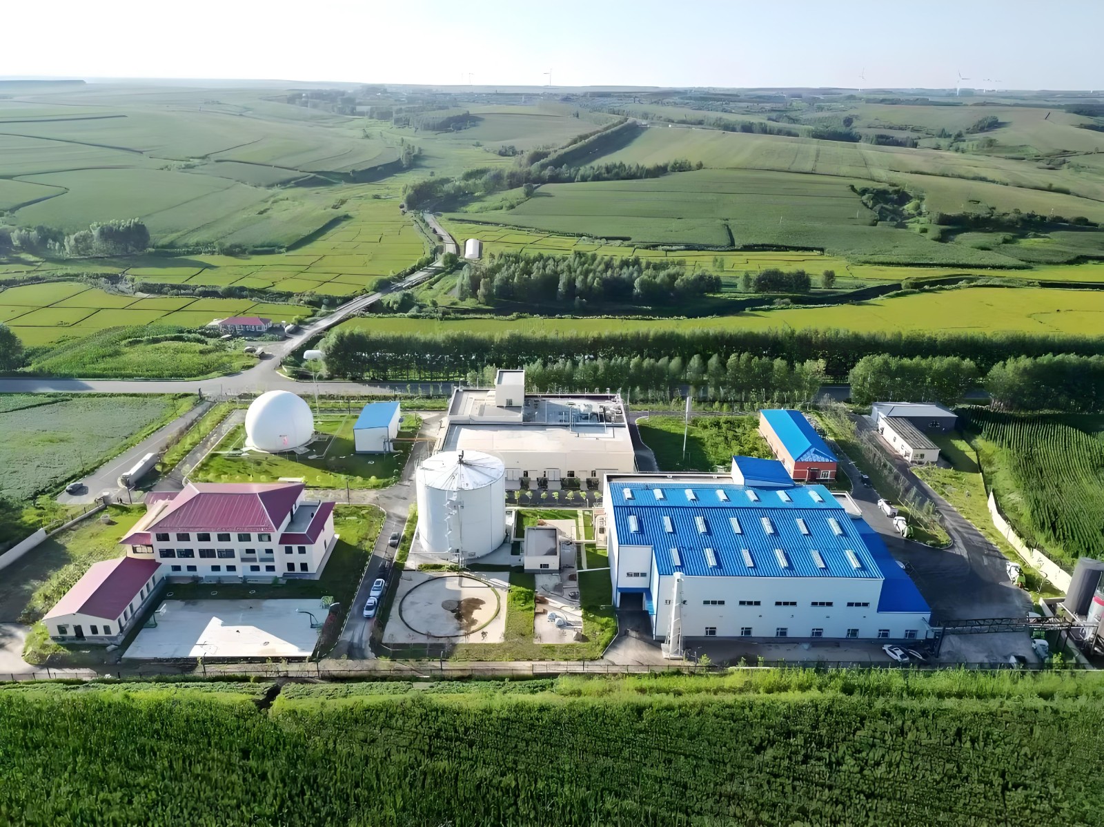 1757294110802.jpg 1757294110802.jpg