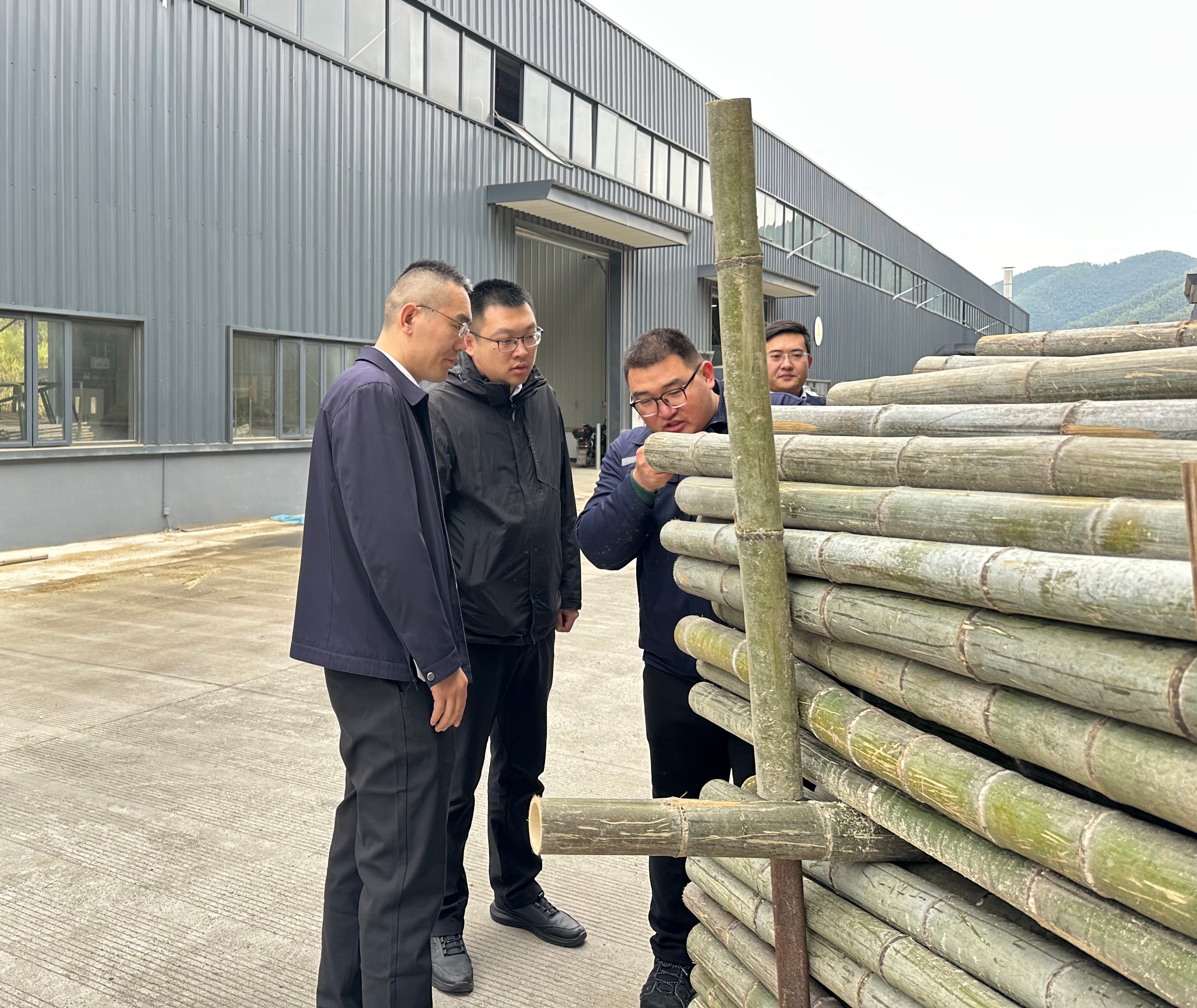 1765819364069.jpg 58efa57fd67bef15e374cdd336a5e3f.jpg